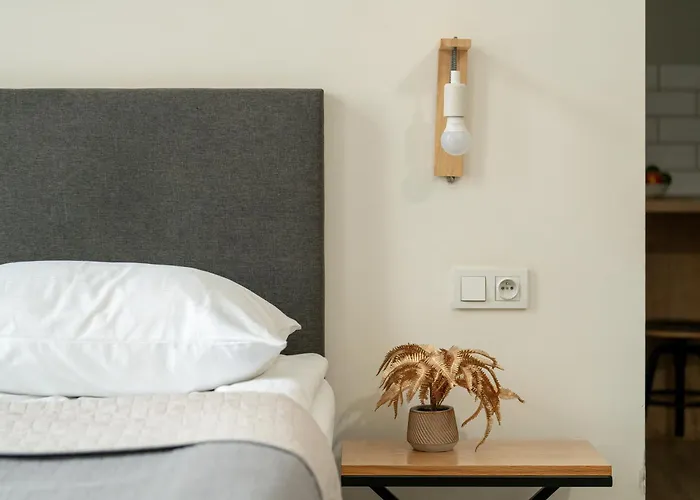 Jasne Studia Very Berry W Centrum Poznania By Renters *